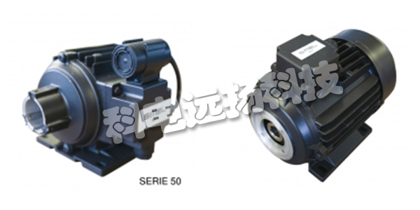 SIMEL馬達,SIMEL電動(dòng)馬達,意大利SIMEL,意大利電動(dòng)馬達,TEF