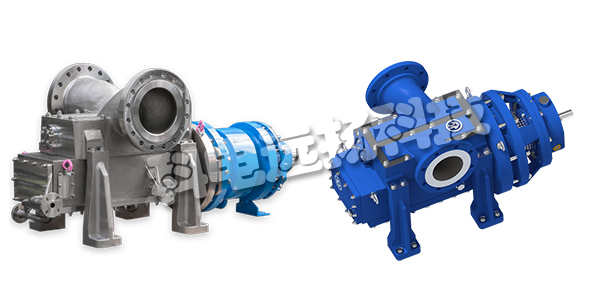 KLAUS UNION泵,KLAUS UNION驅動(dòng)泵,德國KLAUS UNION,德國驅動(dòng)泵,SLM DSP-2C