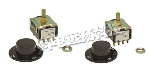 ROBERTSHAW開(kāi)關(guān),ROBERTSHAW振動(dòng)開(kāi)關(guān),美國ROBERTSHAW,美國振動(dòng)開(kāi)關(guān),CSN-508-01