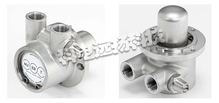 NUERT泵,NUERT驅動(dòng)泵,意大利泵,意大利驅動(dòng)泵,MAG PR系列,意大利NUERT