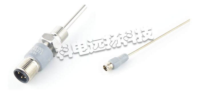 ITALCOPPIE電阻計,ITALCOPPIE溫度電阻計,意大利電阻計,意大利溫度電阻計,ITALCOPPIE溫度電阻計使用說明書,意大利ITALCOPPIE