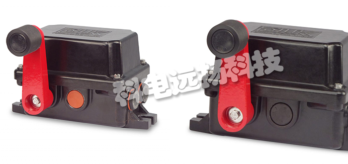 德國DITTELBACH&KERZLER限位開(kāi)關(guān)LMVS