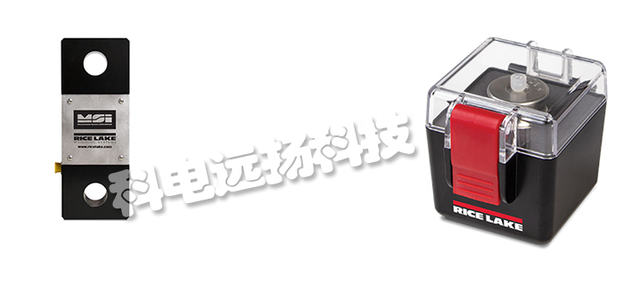 RICELAKE稱(chēng)重顯示器特點(diǎn)_美國RICELAKE稱(chēng)重顯示器產(chǎn)品介紹